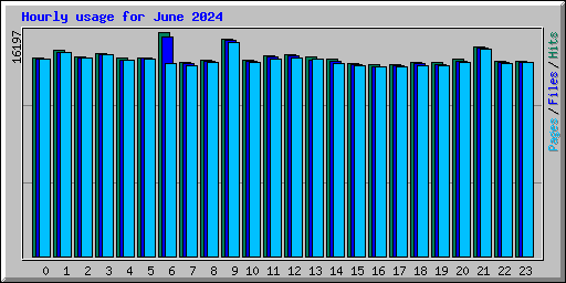 Hourly usage for June 2024